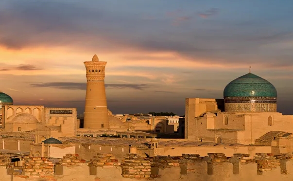 乌兹别克斯坦海关数据查询平台（附免费试用查询名额)